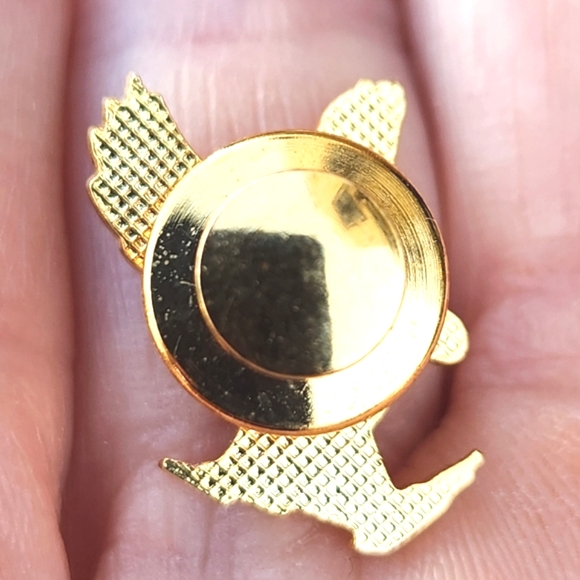 Nordstrom Jewelry Patriotic Swarovski Crystal Flag & Eagle Lapel Pins - Picture 5 of 5